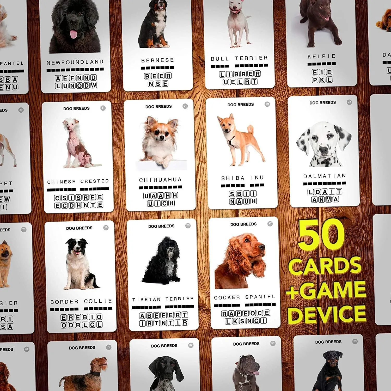 100 PICS - Dog Breeds