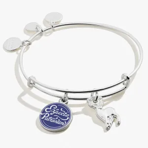 Harry Potter™ Expecto Patronum Duo Charm Bangle