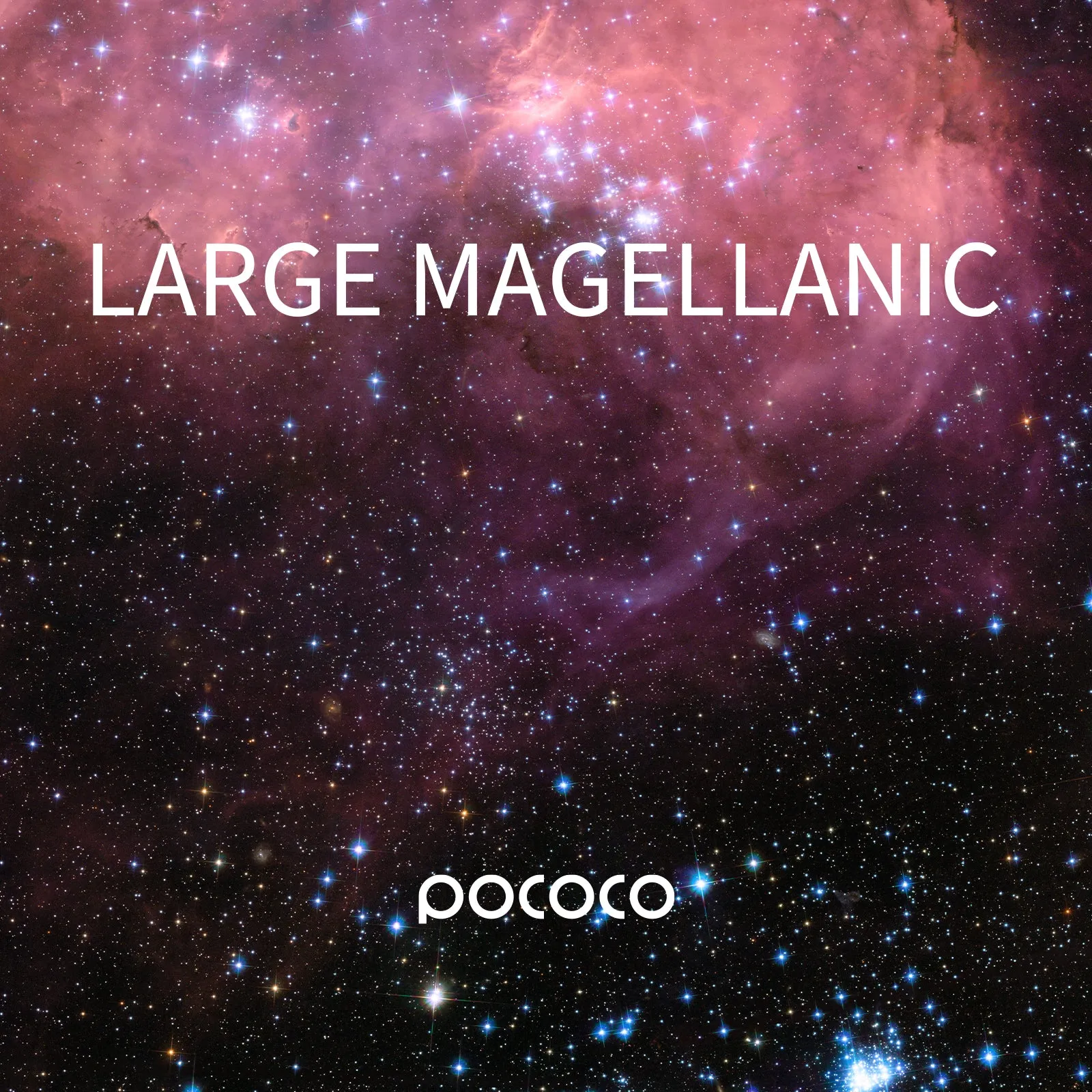 Large Magellanic - Pococo Galaxy Projector Discs | 1 Piece