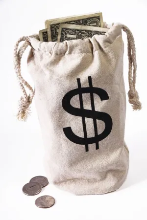 Money Bag Costume Accessory