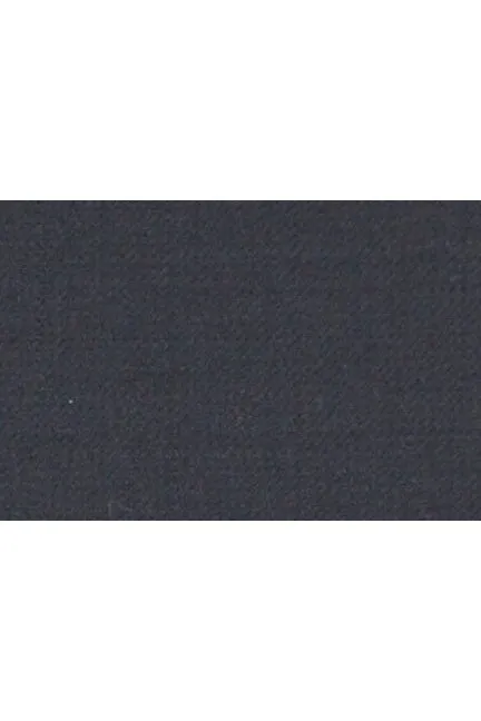 Prive Solid Navy Plain Front Pants